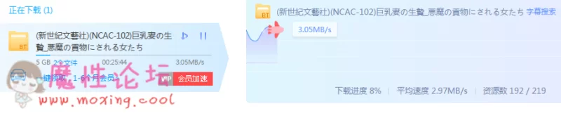 迅雷测速.PNG